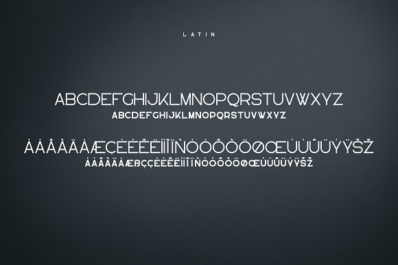 Lotus Eater - sans serif font in Sans-Serif Fonts - product preview 6