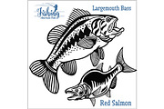 Largemouth Bass and Red Salmon -