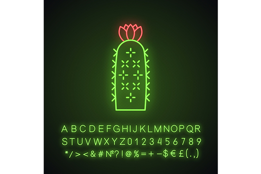 Hedgehog cactus neon light icon