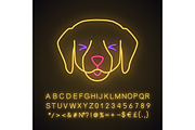 Labrador cute kawaii character