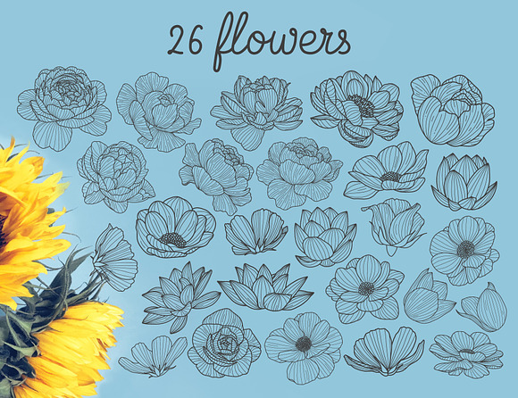 FLORAL BUNDLE | illustrations in Illustrations - product preview 6