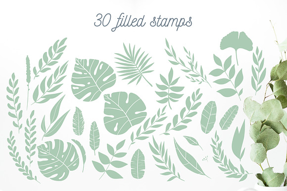 FLORAL BUNDLE | illustrations in Illustrations - product preview 19