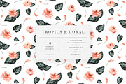 Tropics & Coral Patterns