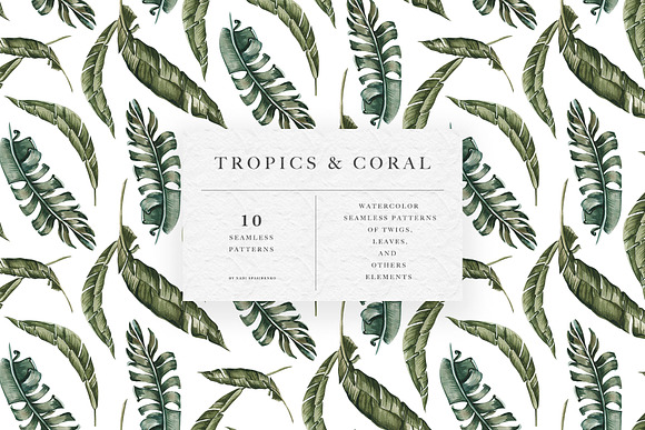 Tropics & Coral Patterns in Patterns - product preview 2