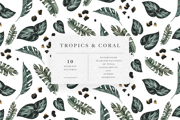 Tropics & Coral Patterns in Patterns - product preview 3