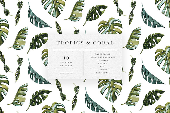Tropics & Coral Patterns in Patterns - product preview 7