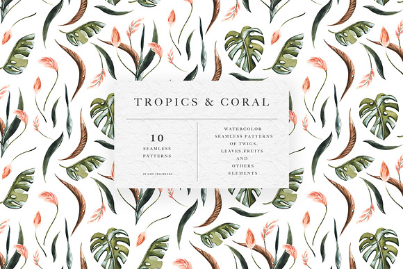 Tropics & Coral Patterns in Patterns - product preview 8