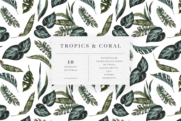 Tropics & Coral Patterns in Patterns - product preview 9