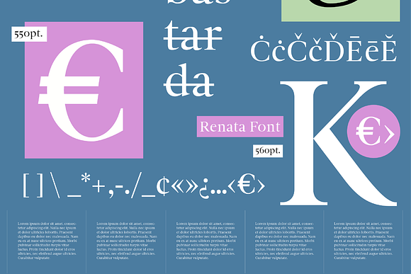 Renata in Serif Fonts - product preview 11