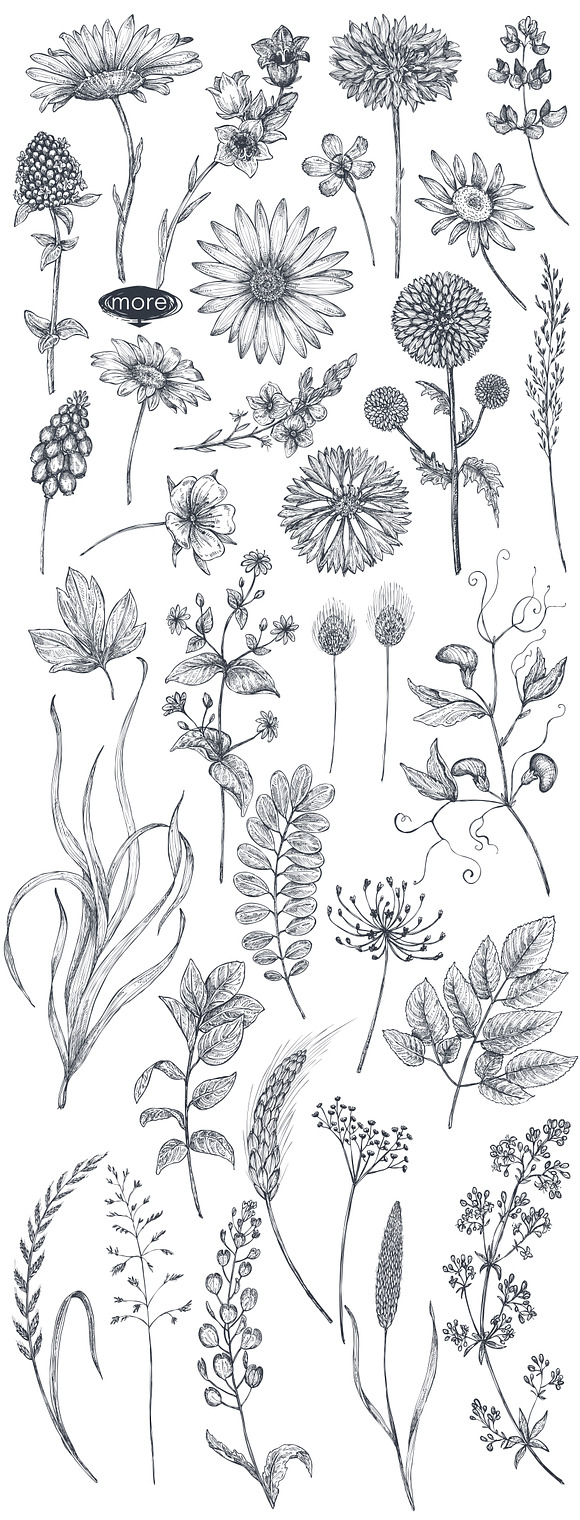 Large bundle of vector flowers in Illustrations - product preview 13