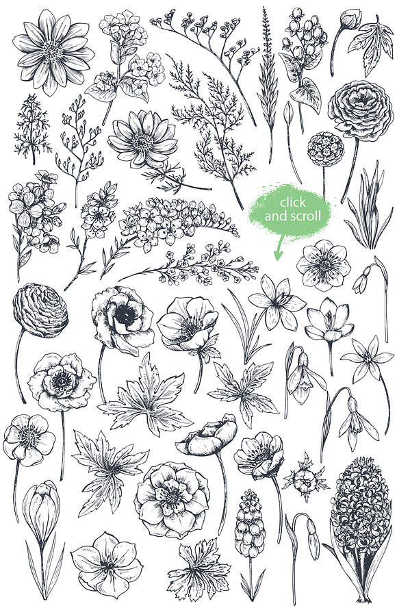 Large bundle of vector flowers in Illustrations - product preview 29