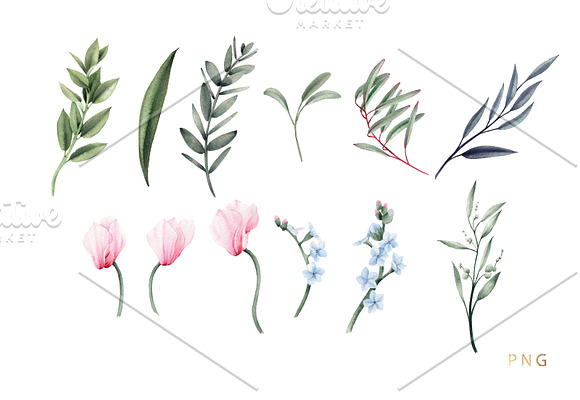 Watercolor flowers (20PNG) in Illustrations - product preview 2