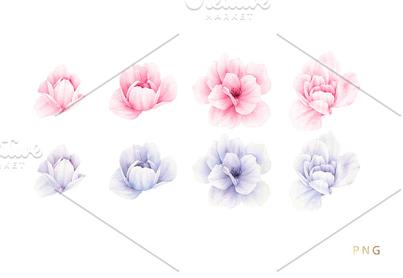 Watercolor flowers (20PNG) in Illustrations - product preview 3