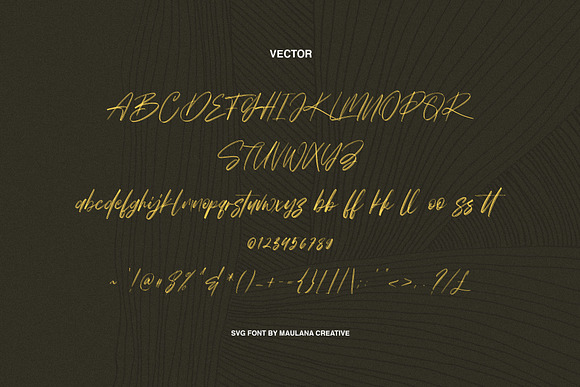Worthness SVG Brush Font Free Sans in Script Fonts - product preview 5