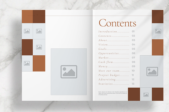 Brown Stylish Brochure in Brochure Templates - product preview 2