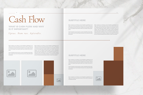 Brown Stylish Brochure in Brochure Templates - product preview 5