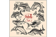 American Fish - vector set 2 for