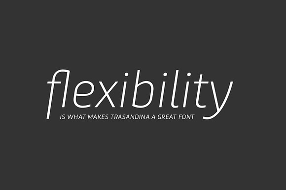 Trasandina in Sans-Serif Fonts - product preview 20