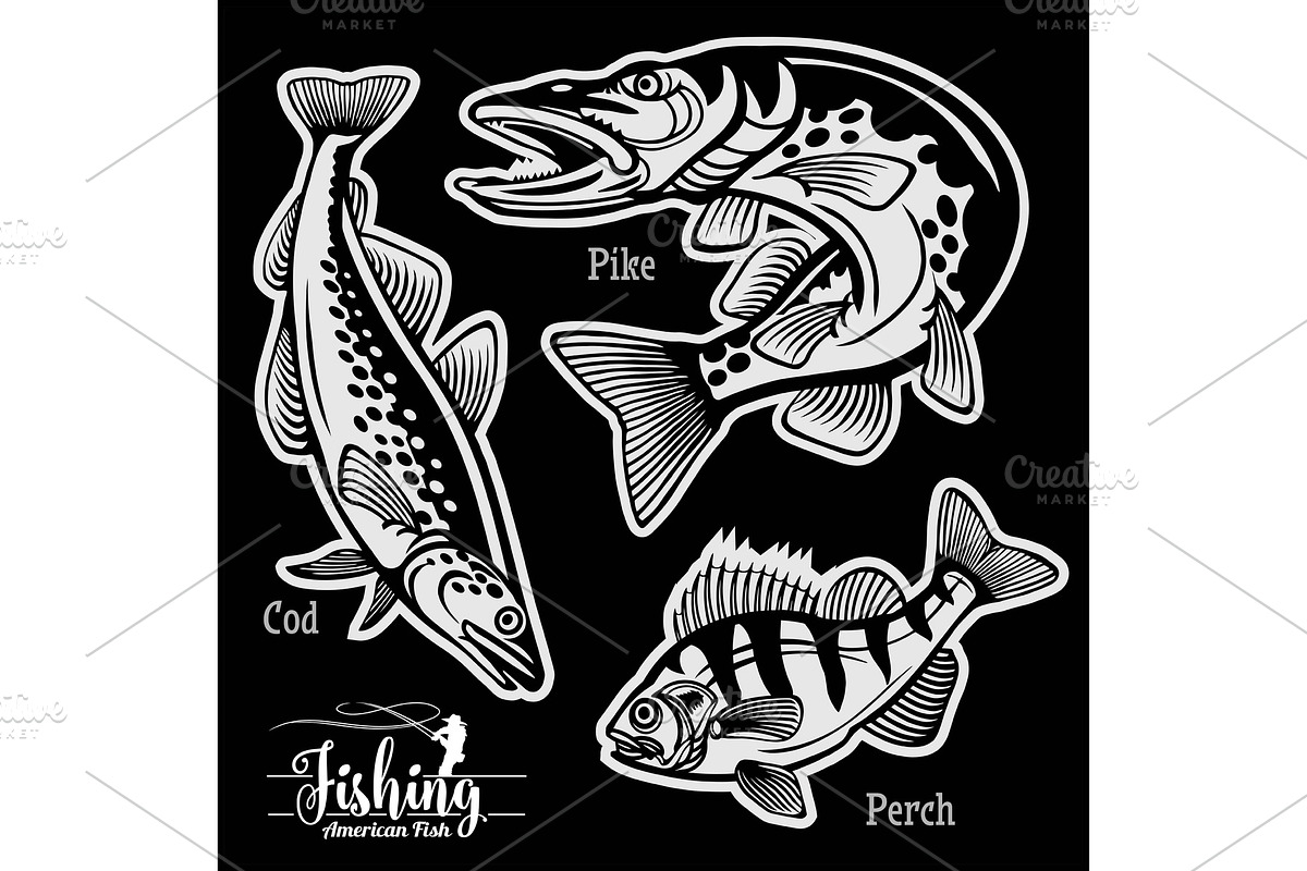 Pike, Perch and Cod fishing on usa in Illustrations - product preview 8