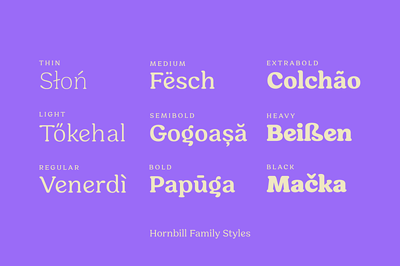Hornbill; 18 Retro Fonts in Serif Fonts - product preview 5