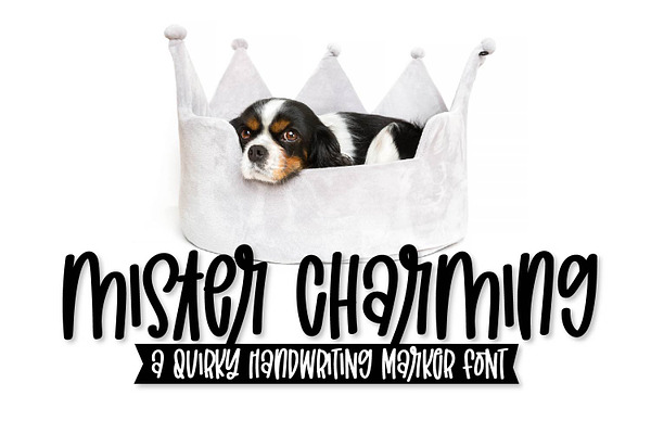 Mister Charming - A Quirky Font