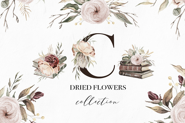 Dried flowers watercolor collection