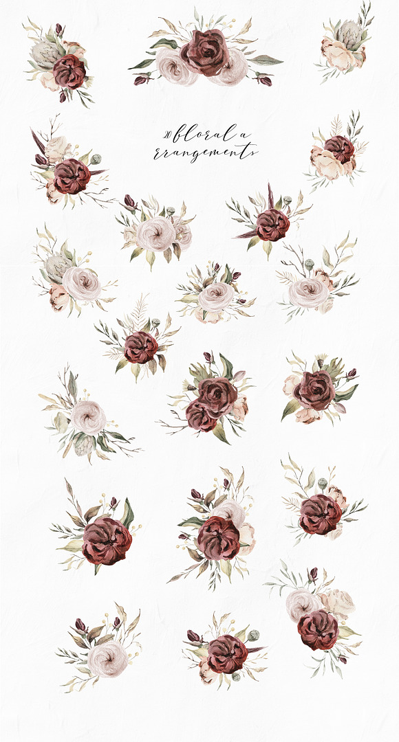 Dried flowers watercolor collection in Illustrations - product preview 4