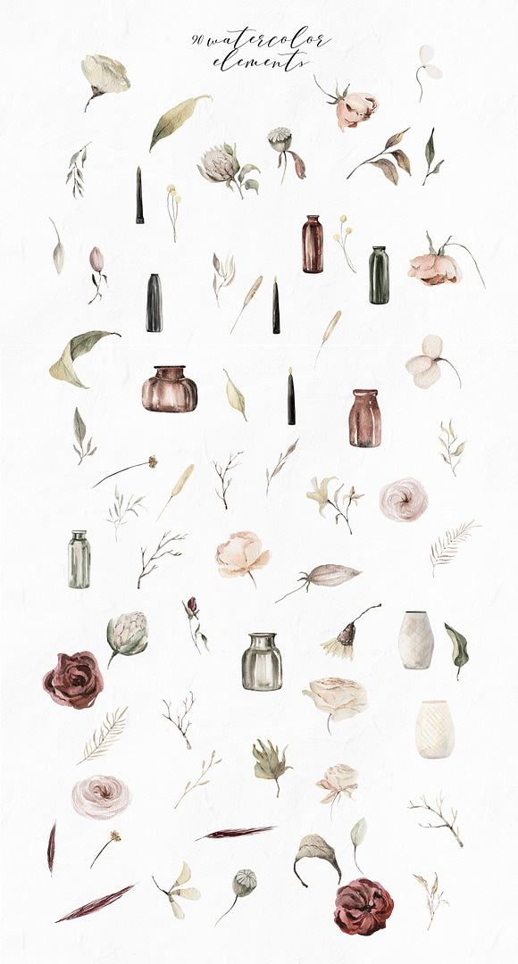 Dried flowers watercolor collection in Illustrations - product preview 7