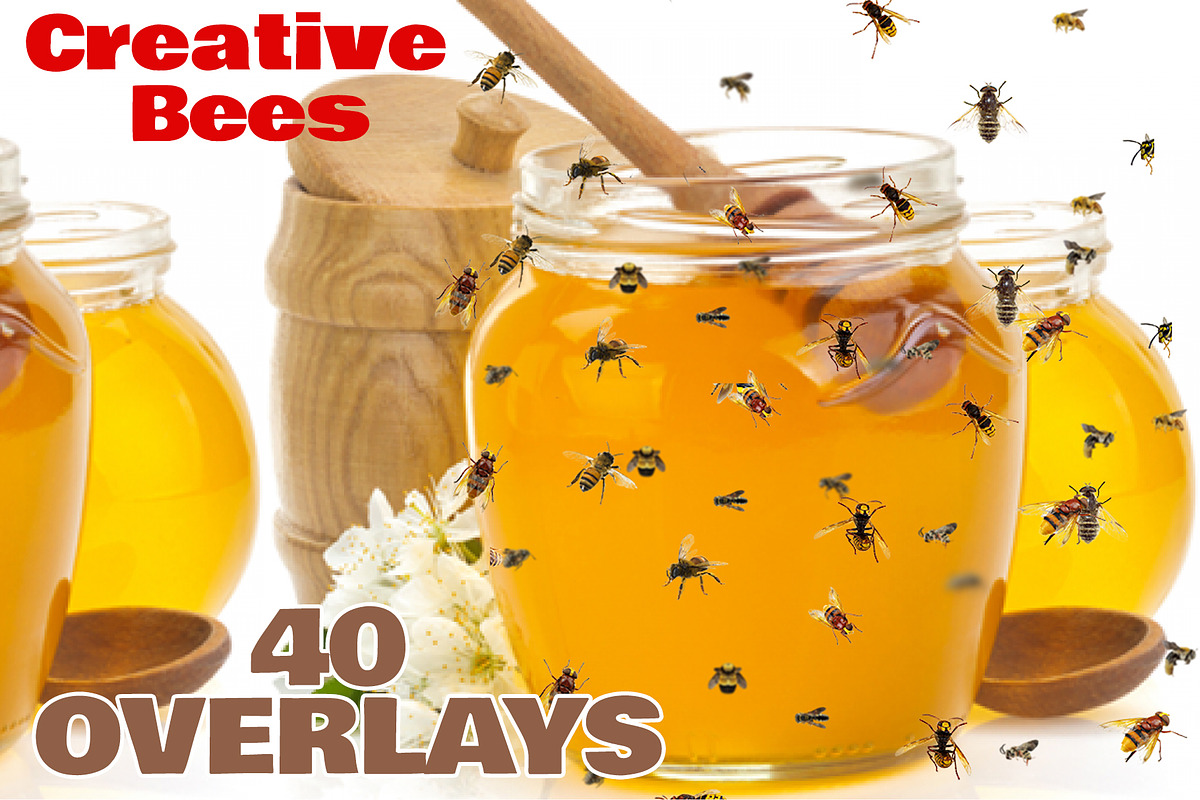 40 Flying Bees Photo Overlays in Objects - product preview 8