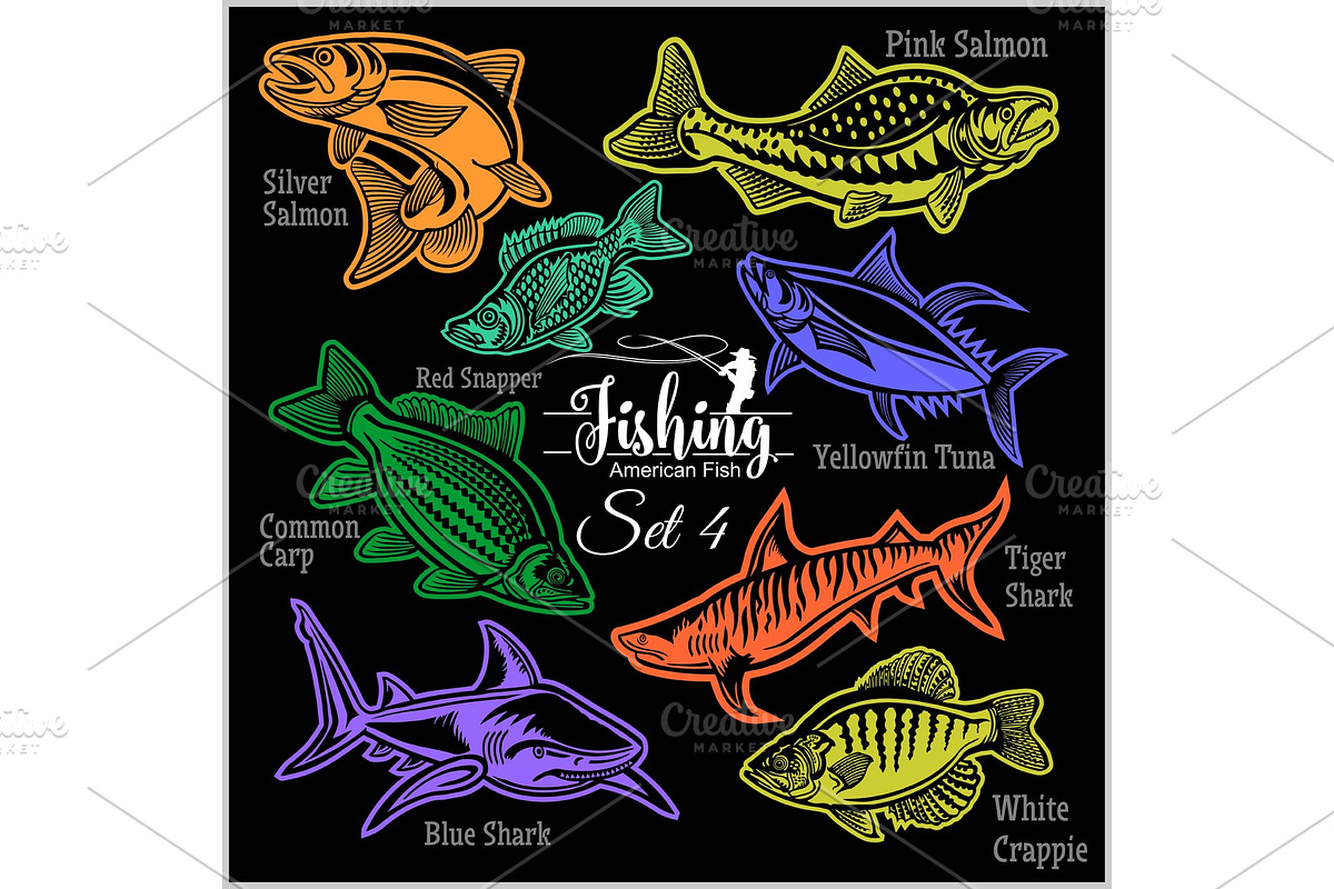 American Fish - vector set 4 for in Illustrations - product preview 8