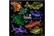 American Fish - vector set 4 for