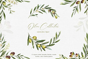 Olive watercolor collection