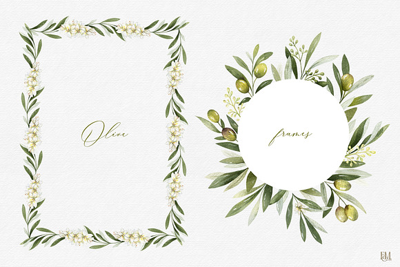 Olive watercolor collection in Illustrations - product preview 1