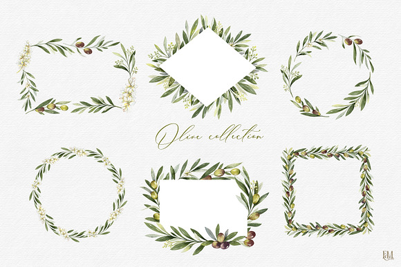 Olive watercolor collection in Illustrations - product preview 2