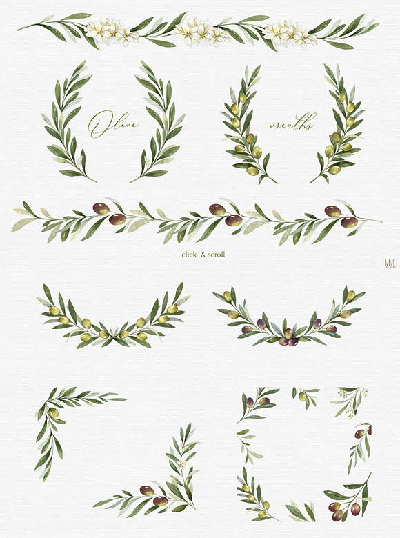 Olive watercolor collection in Illustrations - product preview 3