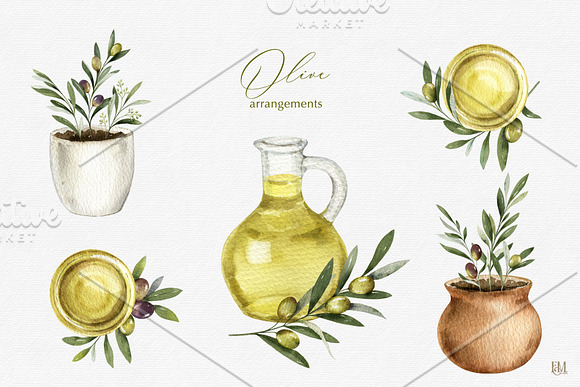 Olive watercolor collection in Illustrations - product preview 4