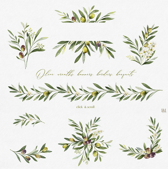 Olive watercolor collection in Illustrations - product preview 5