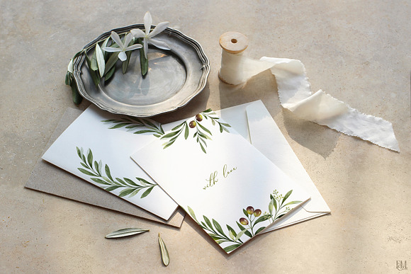 Olive watercolor collection in Illustrations - product preview 6