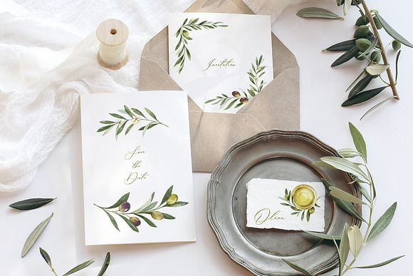 Olive watercolor collection in Illustrations - product preview 7
