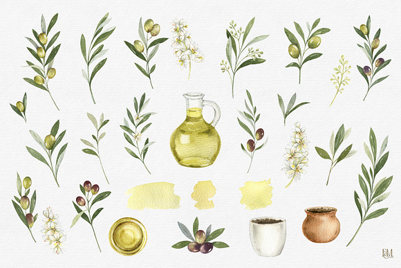 Olive watercolor collection in Illustrations - product preview 9