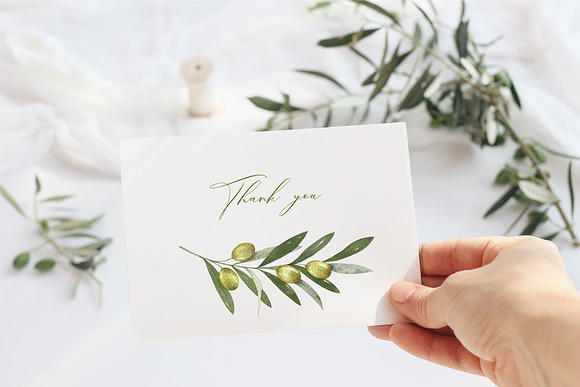Olive watercolor collection in Illustrations - product preview 10