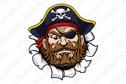 Pirate Captain Cartoon Mascot