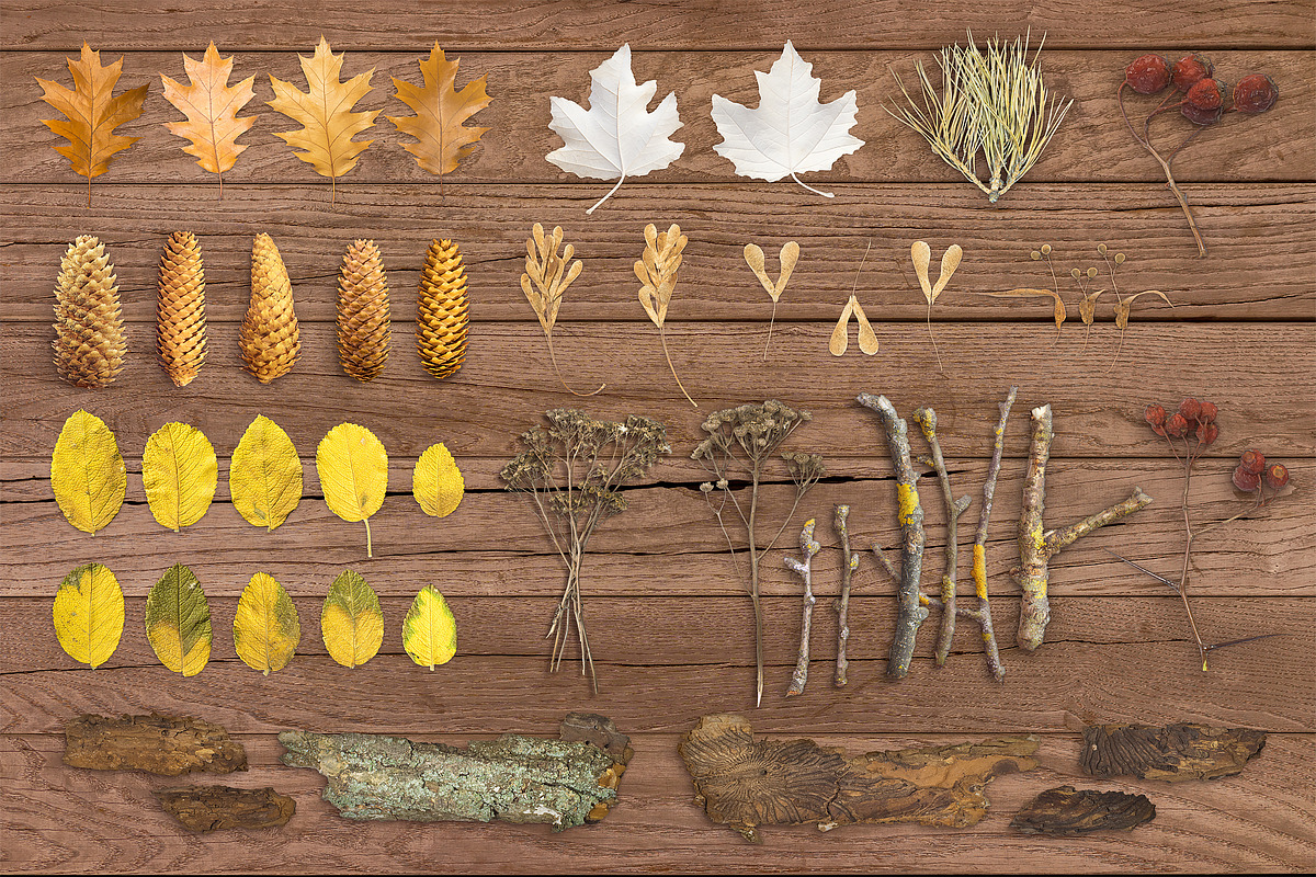 Autumn Floral Mockup on Wood in Objects - product preview 8