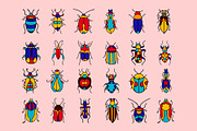 Bugs vector illustrations