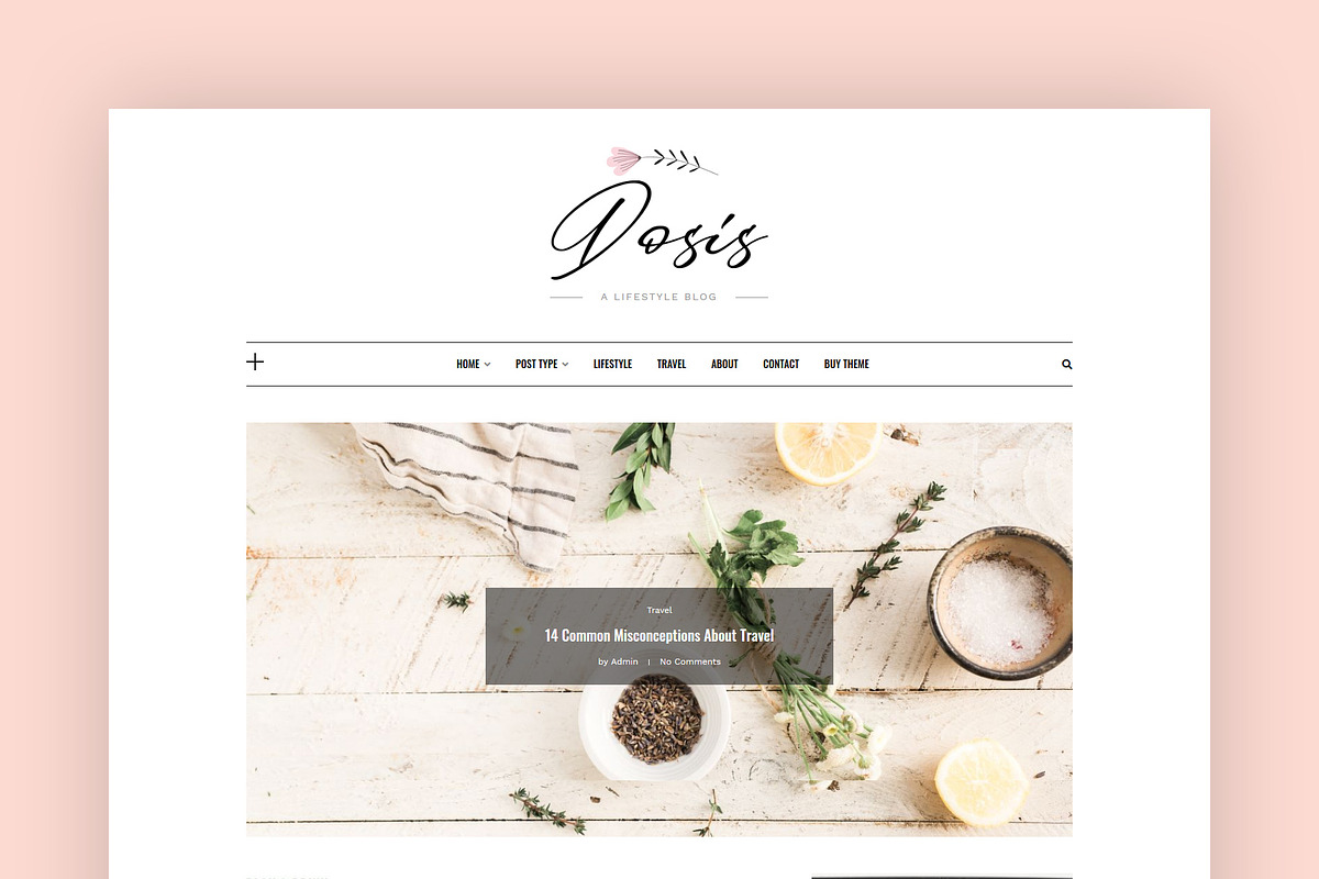 A Lifestyle WordPress Blog - Dosis in WordPress Blog Themes - product preview 8