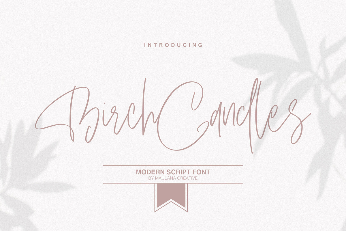 Birch Candles - Handwritten Font in Script Fonts - product preview 8