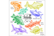 American Fish - vector set 4 for