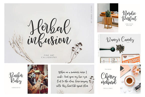 Calligraphy Handwritten Font Bundle in Script Fonts - product preview 6