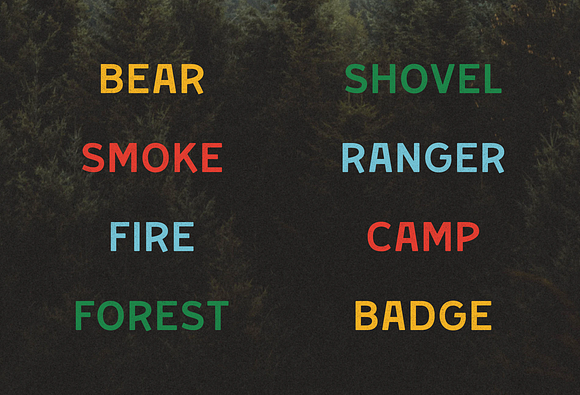 Junior Ranger in Display Fonts - product preview 3