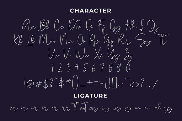 Sydney Signature Script Font in Script Fonts - product preview 3